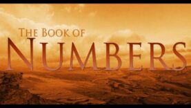 Numbers Chapter 27; Daughters can inherit land & God chooses the next leader for His people